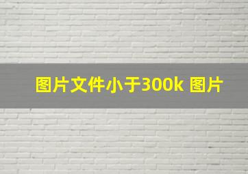 图片文件小于300k 图片